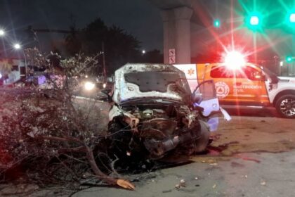 Joven pierde el control y choca contra árbol en rotonda de Monterrey