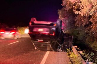 Vuelca camioneta tras chocar con una vaca en Carretera Nacional en Montemorelos