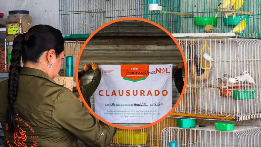 Aseguran 58 aves y clausuran establecimiento por maltrato animal en Guadalupe