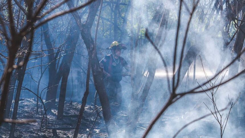 Incendio consume 1.1 hectáreas de terreno baldío en Monterrey