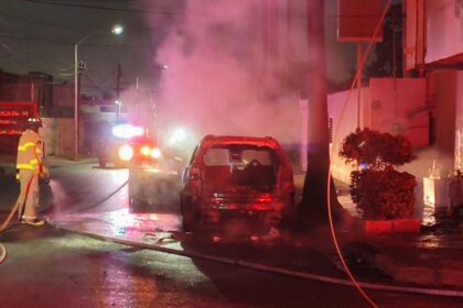 Incendio de cableado alcanza palmera y vehículos en la colonia Chepevera en Monterrey