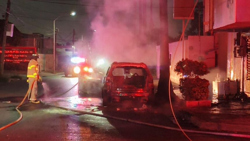 Incendio de cableado alcanza palmera y vehículos en la colonia Chepevera en Monterrey