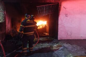 Mueren 14 perros tras incendio provocado por pirotecnia en CDMX