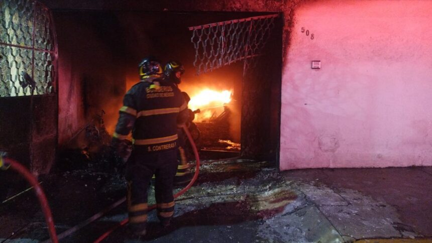 Mueren 14 perros tras incendio provocado por pirotecnia en CDMX
