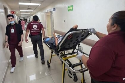 Niño de 11 años es mordido por víbora de cascabel en García