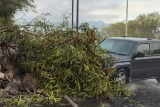 Atropellan a reportera y camarógrafo de Gamavisión durante enlace en Monterrey