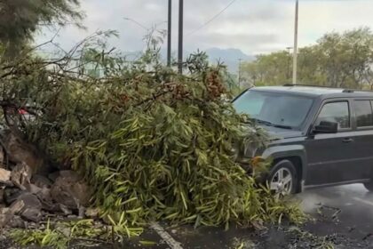 Atropellan a reportera y camarógrafo de Gamavisión durante enlace en Monterrey