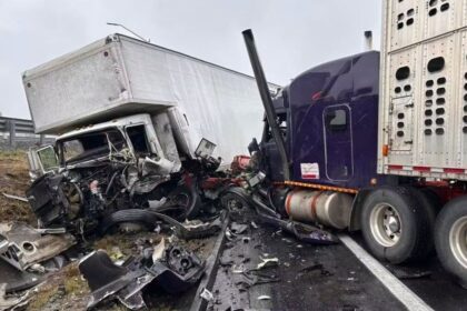 Muere padre de familia en choque de tráileres por intentar rebasar en Ramos Arizpe, Coahuila